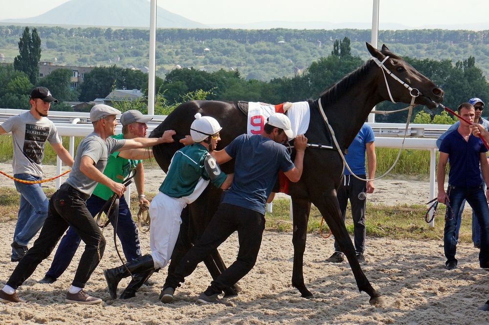 Photograph by Михаил Янкин