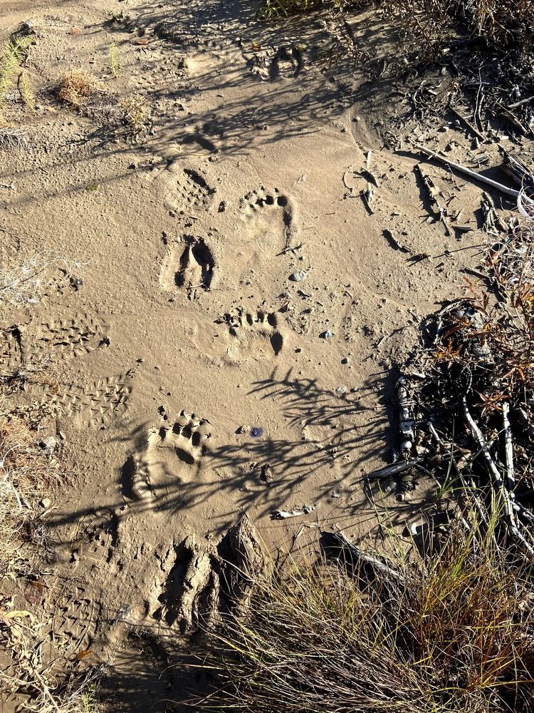 Photograph by Виктор Бута