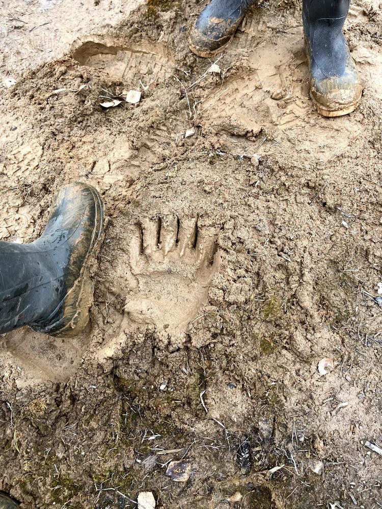 Photograph by Виктор Бута