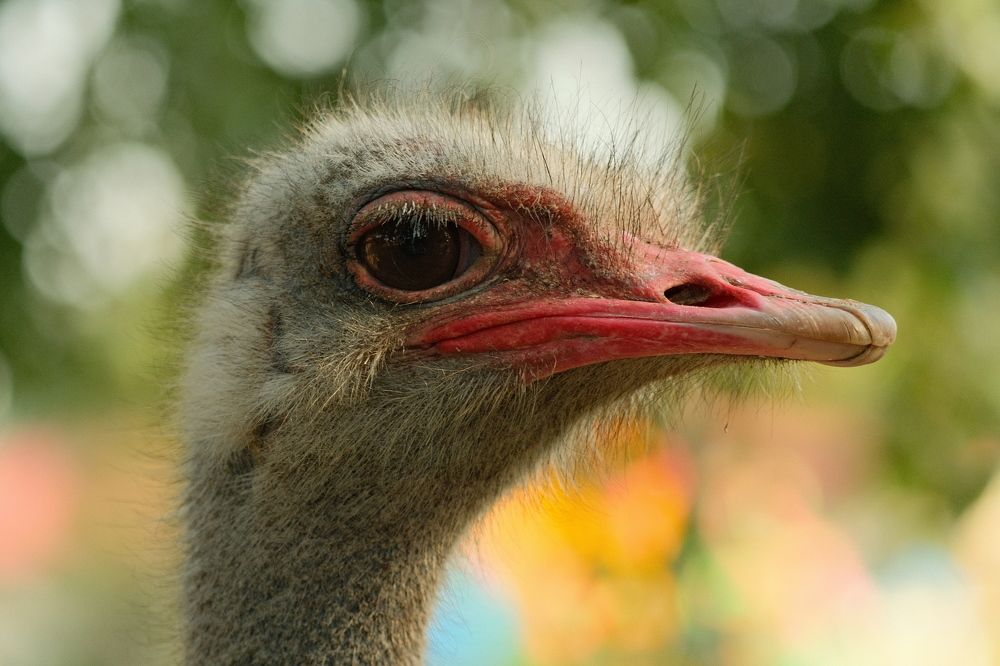 Photograph by Артём BEPTYXA359