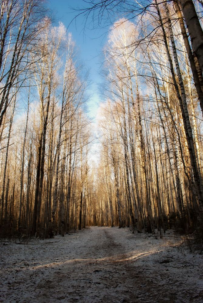 Photograph by Любовь Бусова