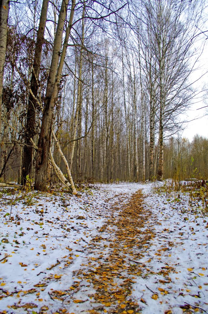 Photograph by Любовь Бусова