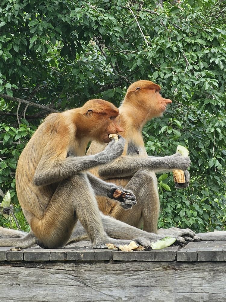 Photograph by Вадим Богатиков