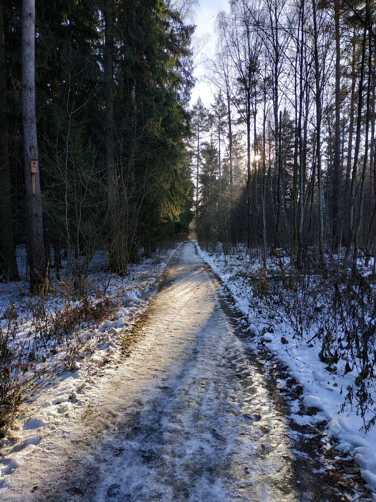 Photograph by Tatiana