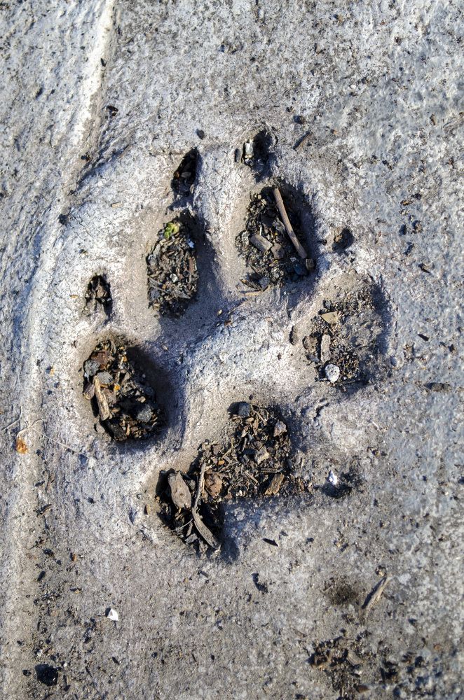 Photograph by Любовь Бусова