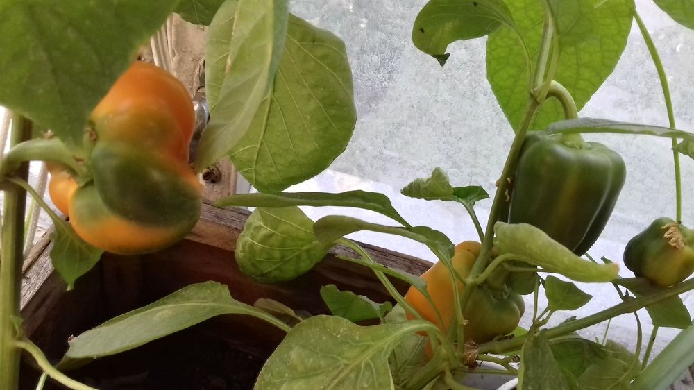 Photograph by Галина Петрушенко