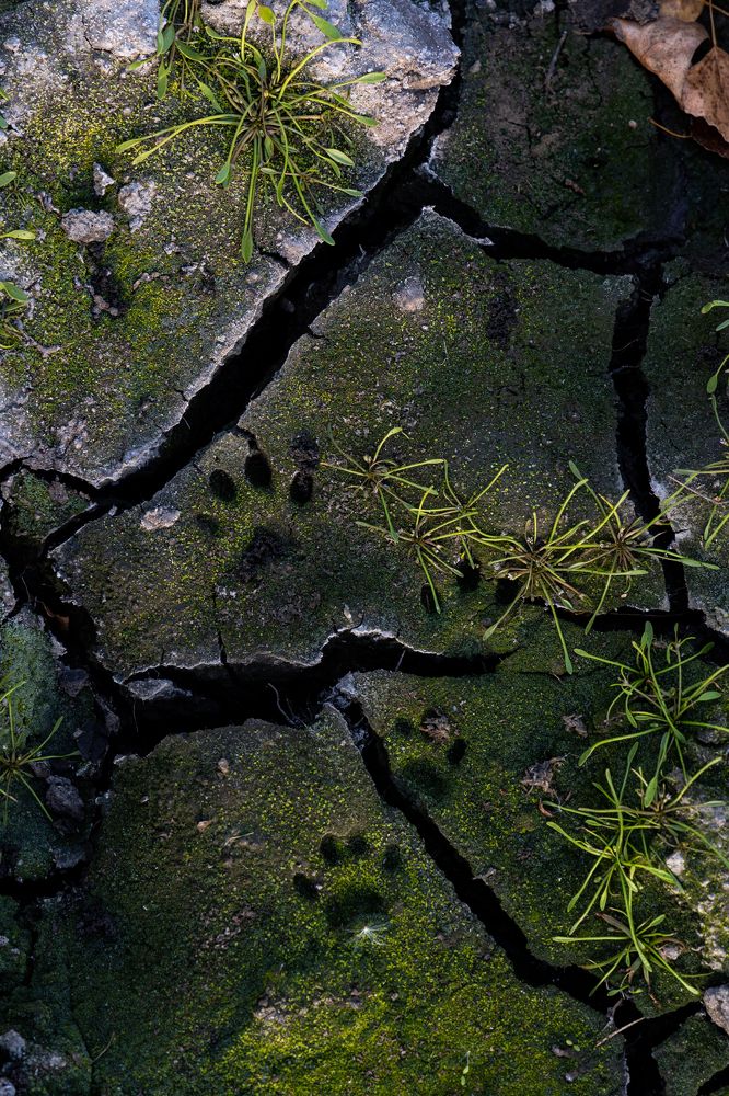 Photograph by Андрей Бовин