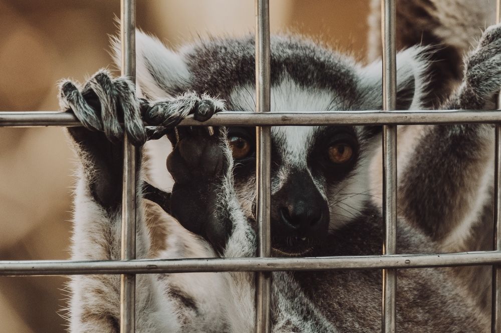 Photograph by Дулова Анастасия