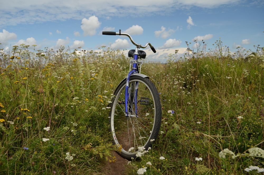 Фотография автора VALENTIN SCANDALIC