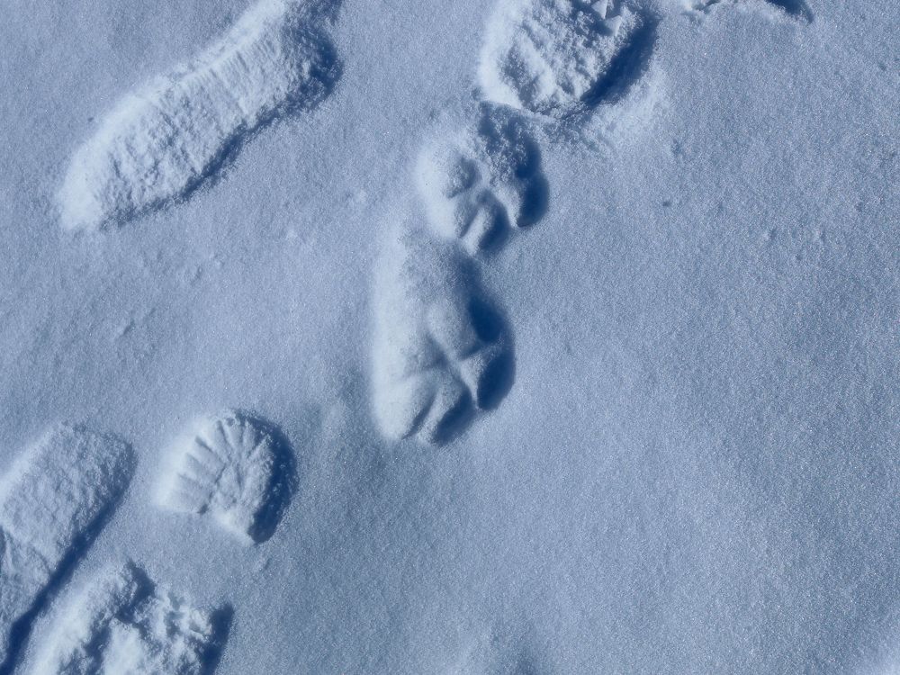 Photograph by Ирина Шибитова