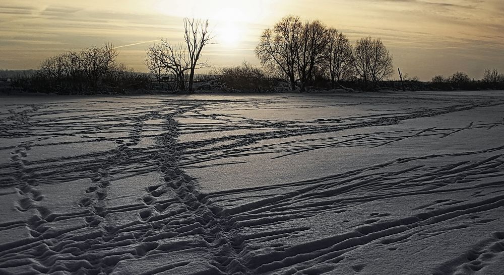 Фотография автора Панюшкин Владислав Владимирович