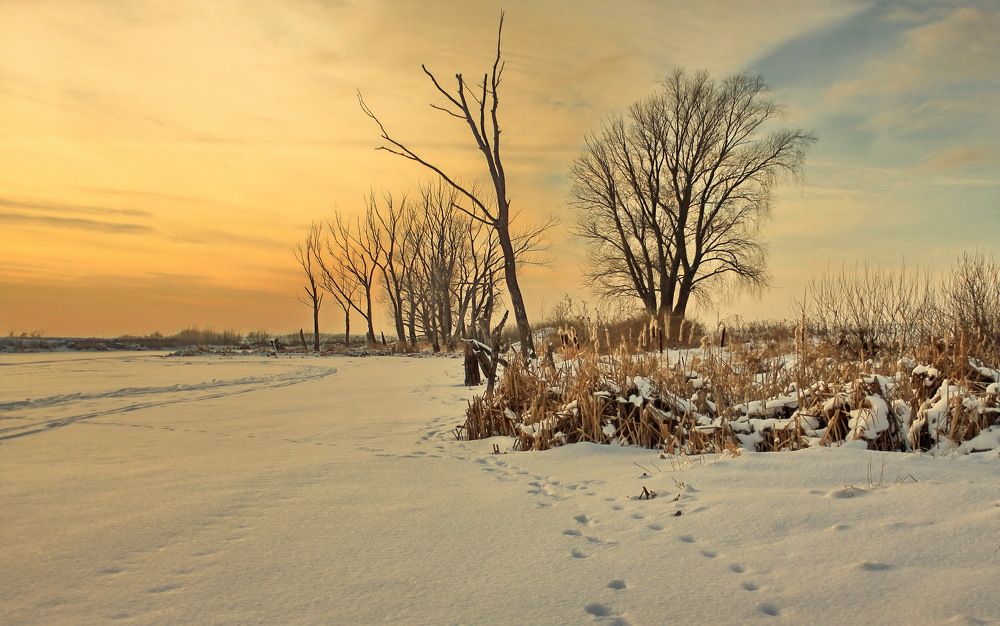 Фотография автора Панюшкин Владислав Владимирович