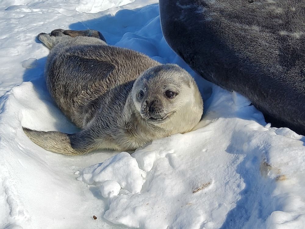 Photograph by MAKSIM MARKOV