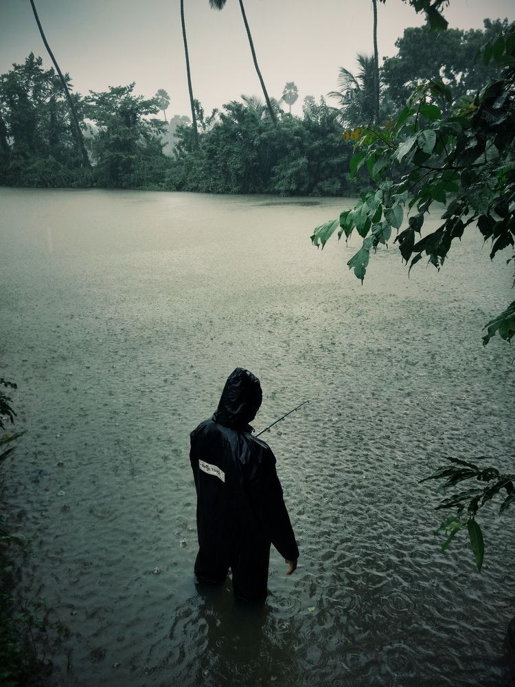 Photo #11251548