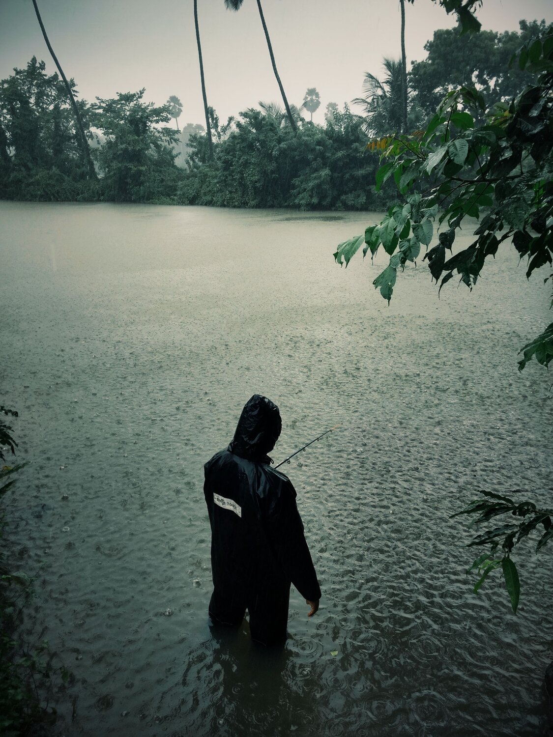 Photo #11251548