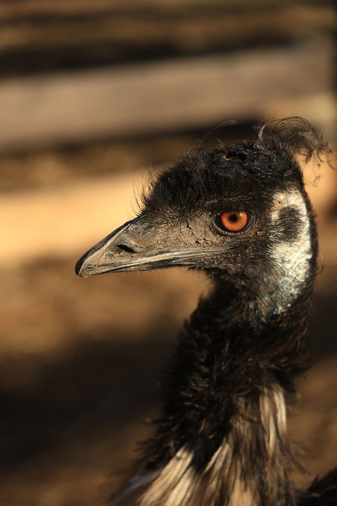 Photograph by Евгения Казакова