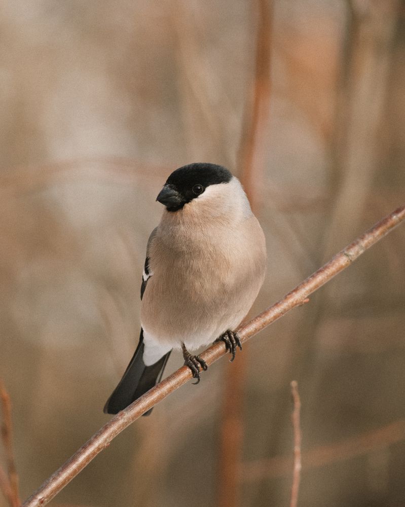 Photograph by Florian Wood