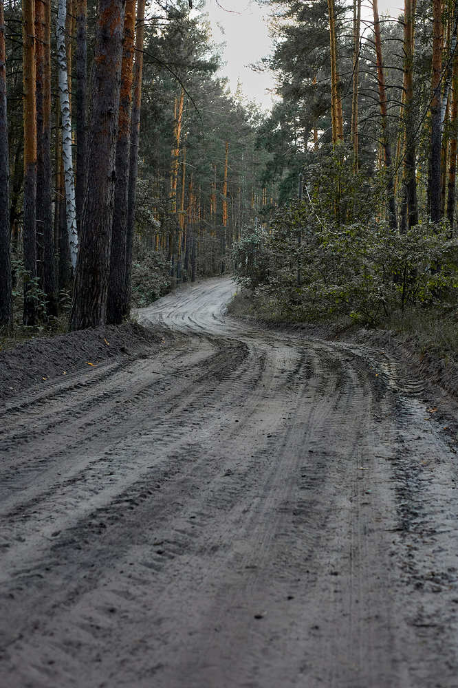 Фотография автора Дмитрий Смирнов