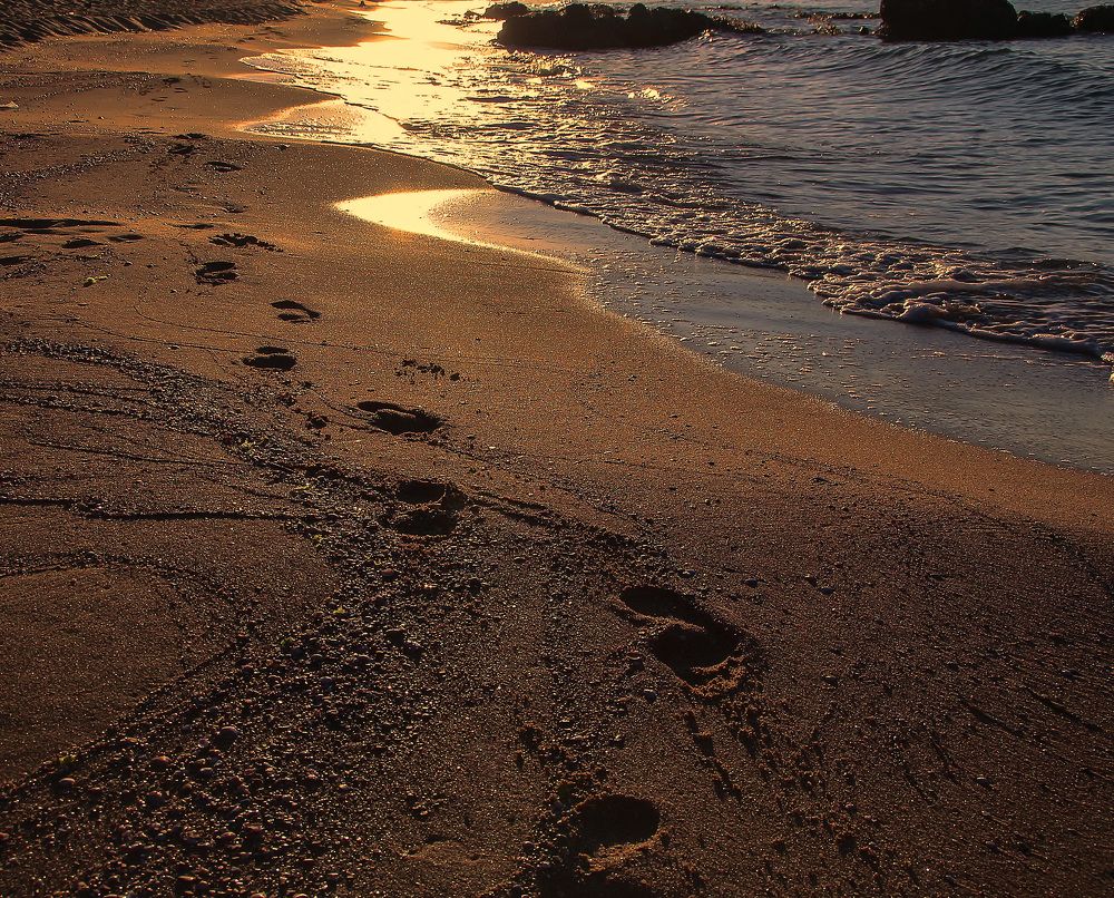 Фотография автора Александр