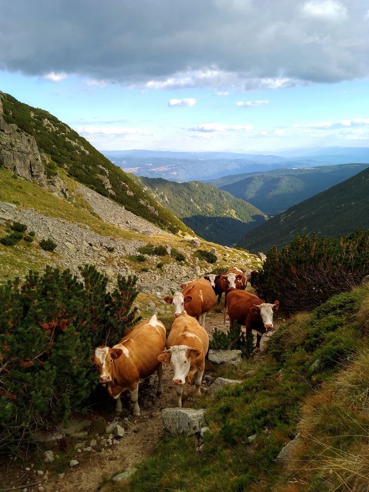 Фотография автора Liliya Slavcheva