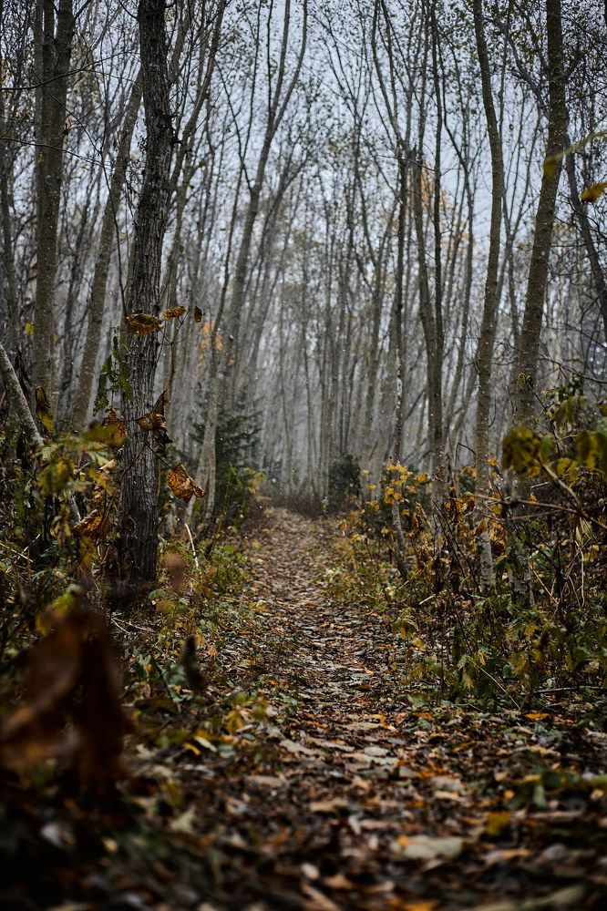 Фотография автора Бороненков Вадим