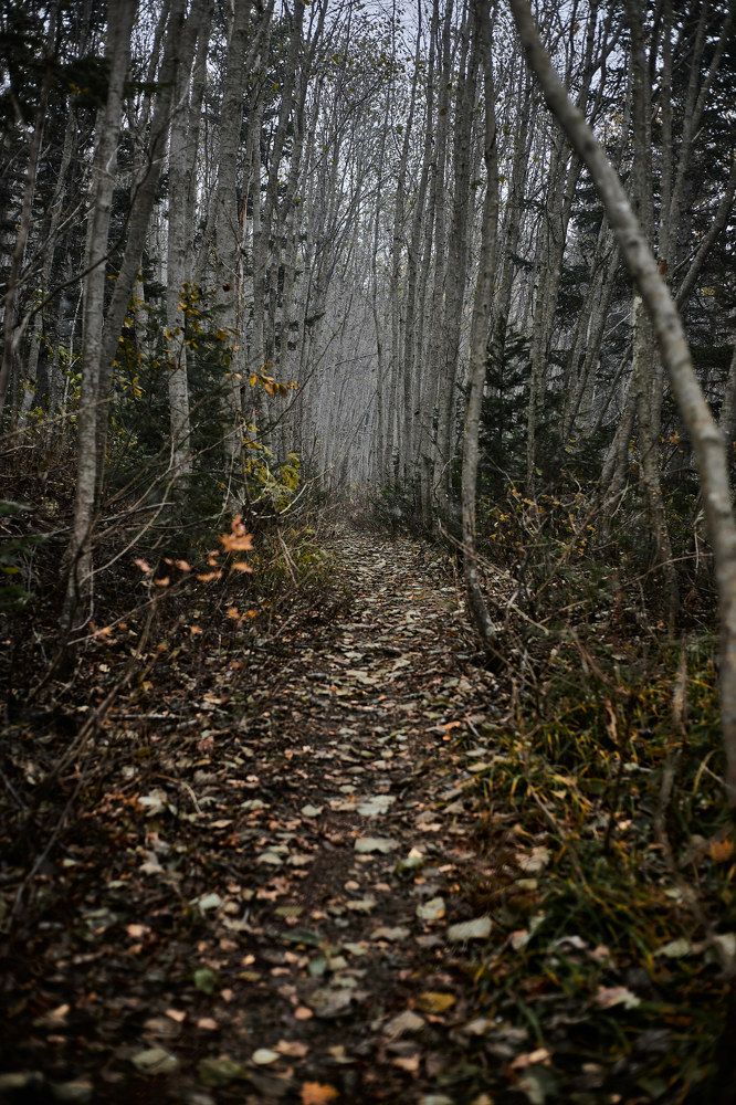Фотография автора Бороненков Вадим