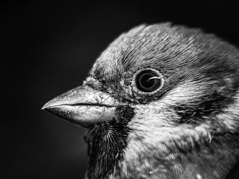 Photograph by Сергей Гриднев