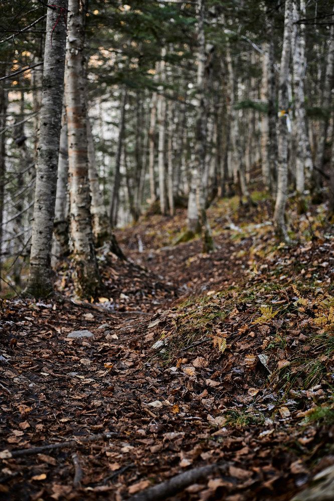 Фотография автора Бороненков Вадим