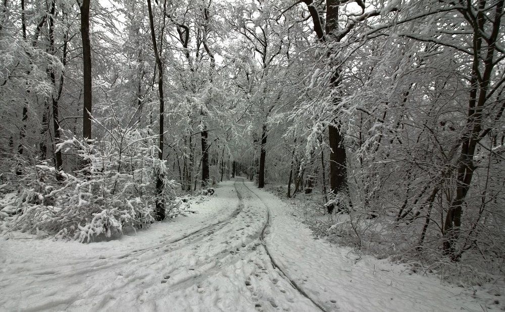 Фотография автора Александр