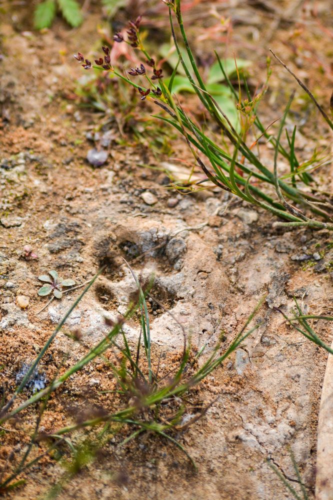 Photograph by Анастасия Гурова