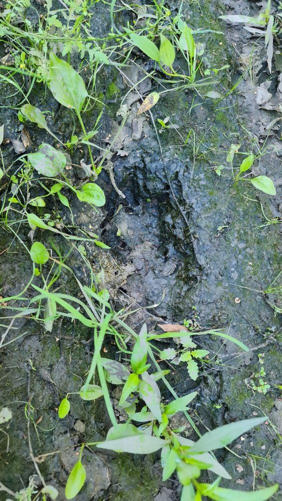 Photograph by Вадим Богатиков