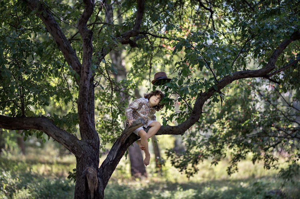 Фотография автора Александр Солнечный