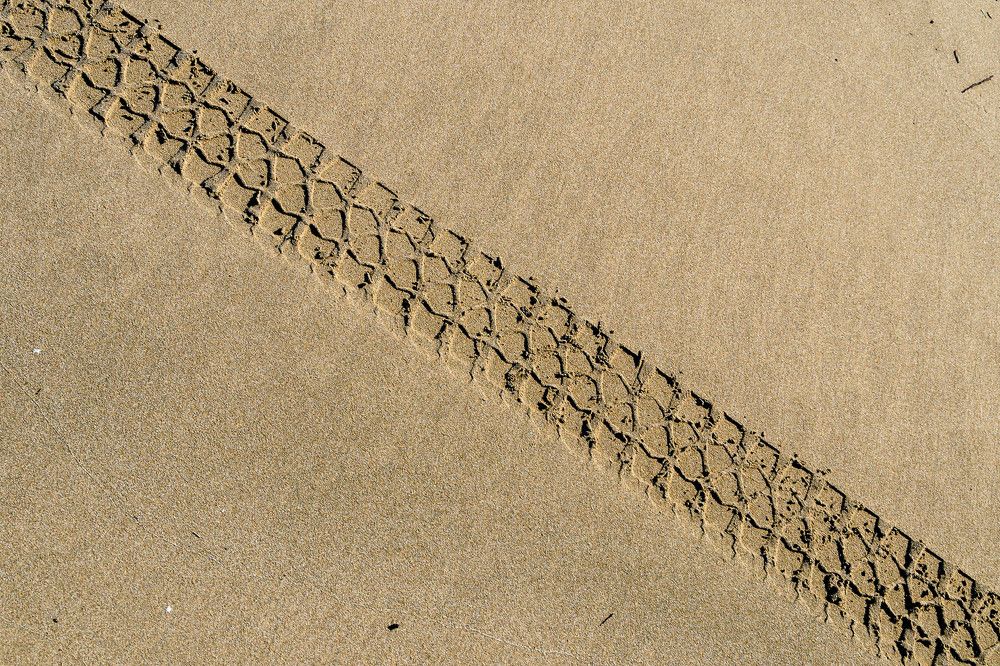 Photograph by Леонид Синев