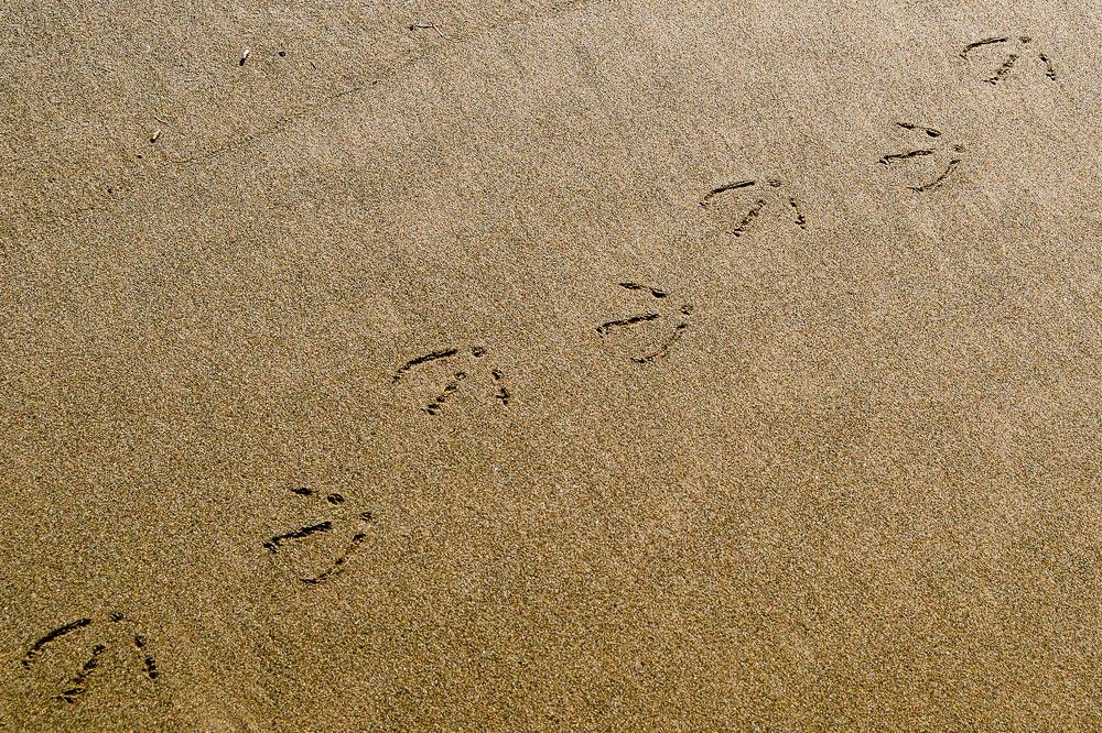 Photograph by Леонид Синев