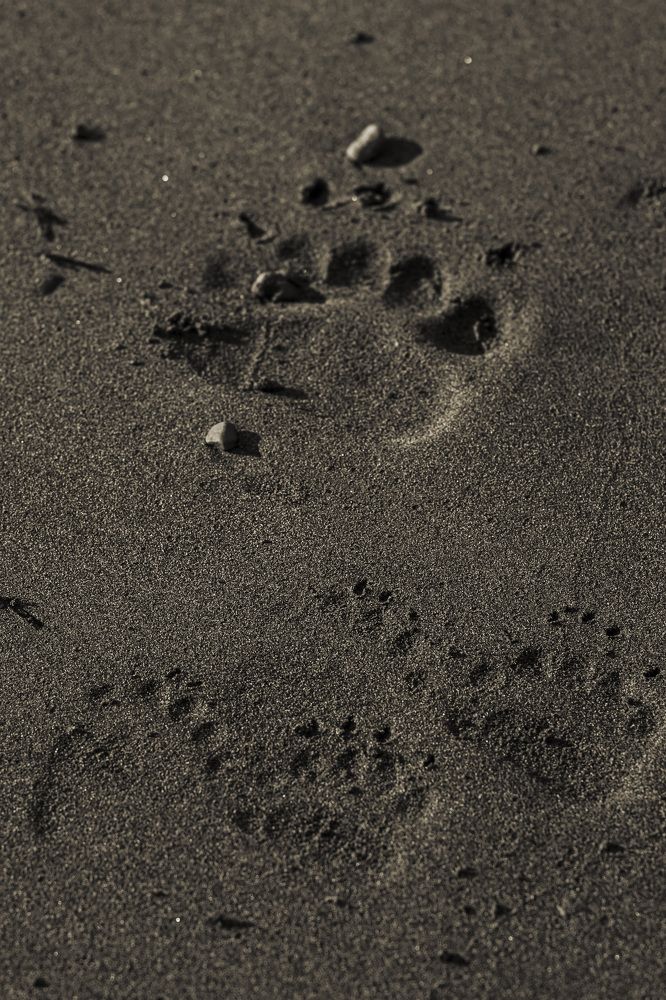 Photograph by Анастасия Рубан