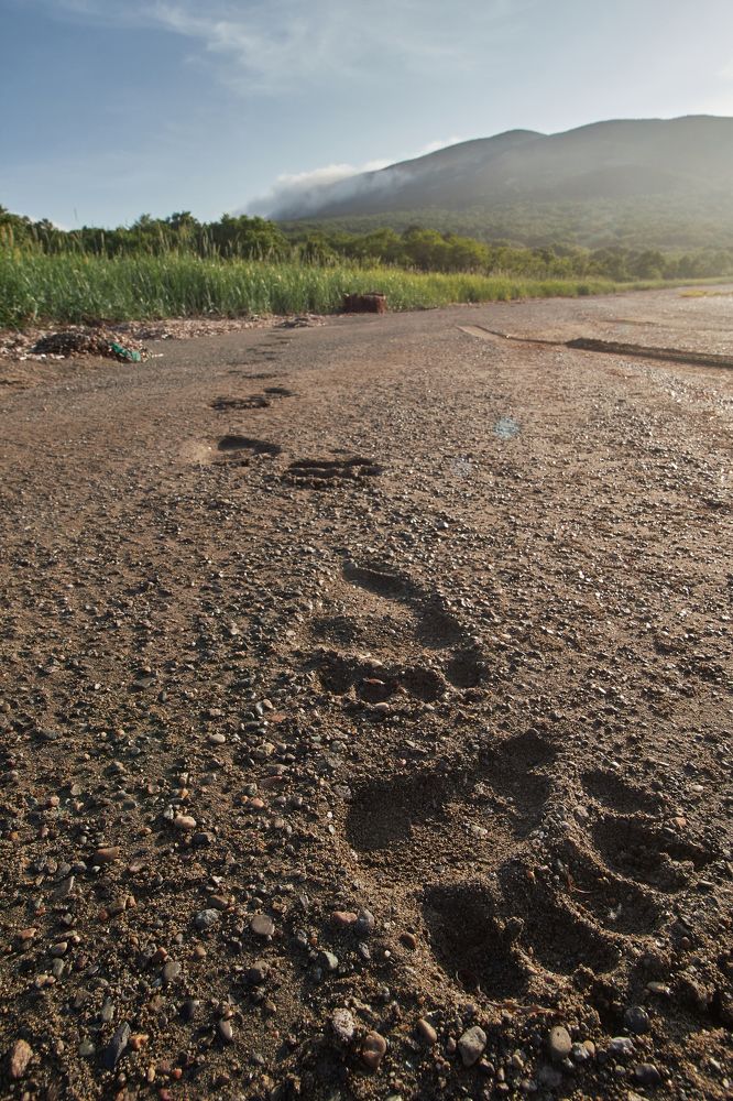 Photograph by Анастасия Рубан