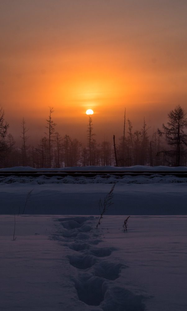 Photograph by 