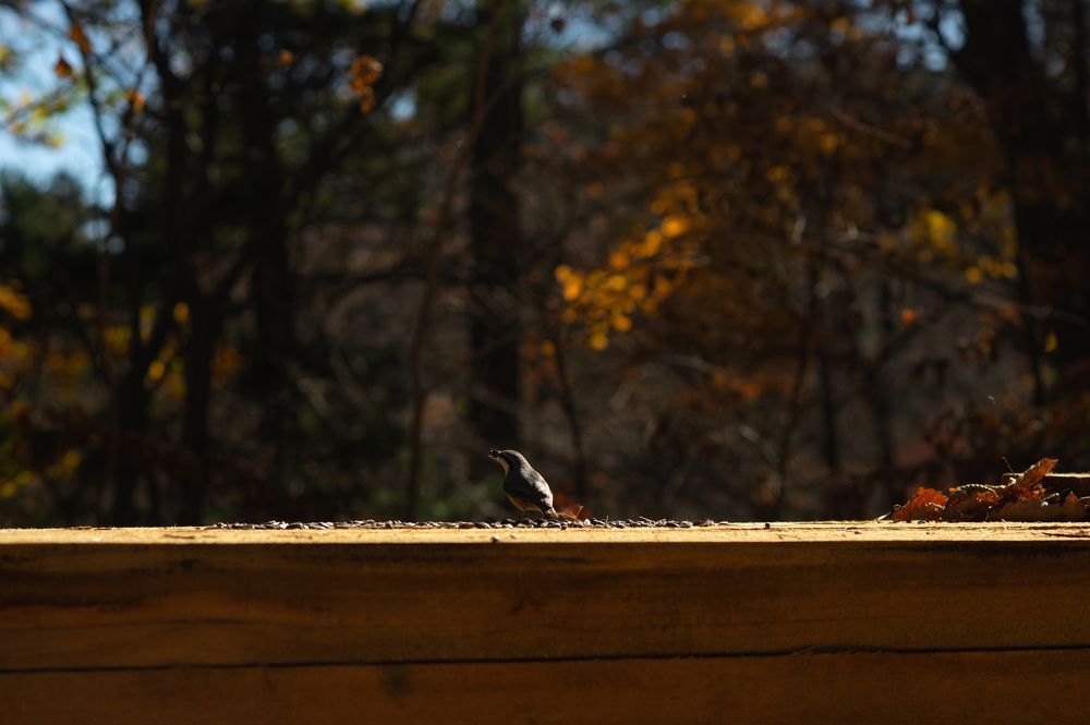 Photograph by Наталья Цуканова