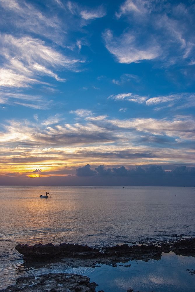 Фотография автора Aleksej Musatov