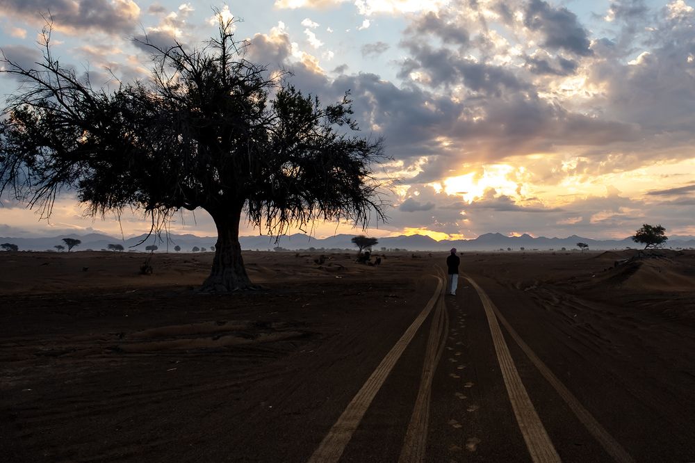 Фотография автора Abie Davies Thekkanath