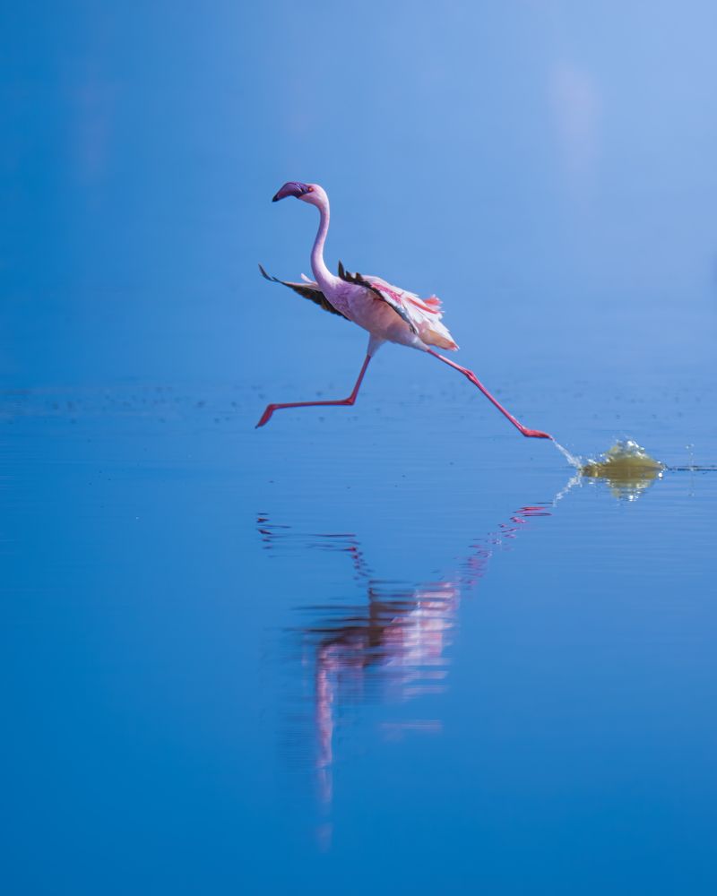 Photograph by Alexandra Surkova