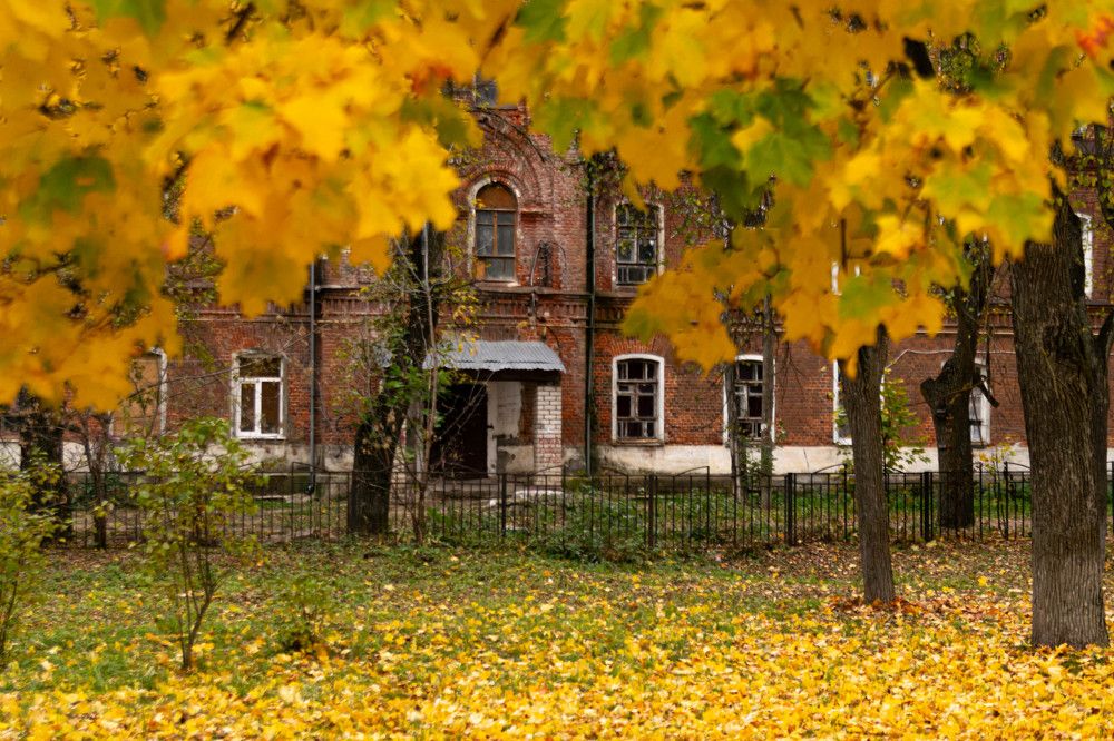 Photograph by Михаил Костыря