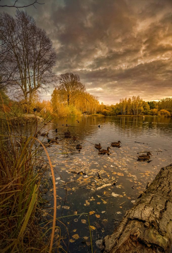 Photograph by Александр Разумов