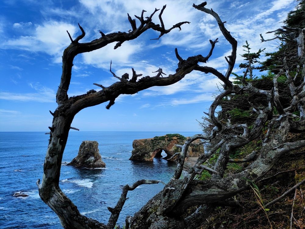 Фотография автора Илья