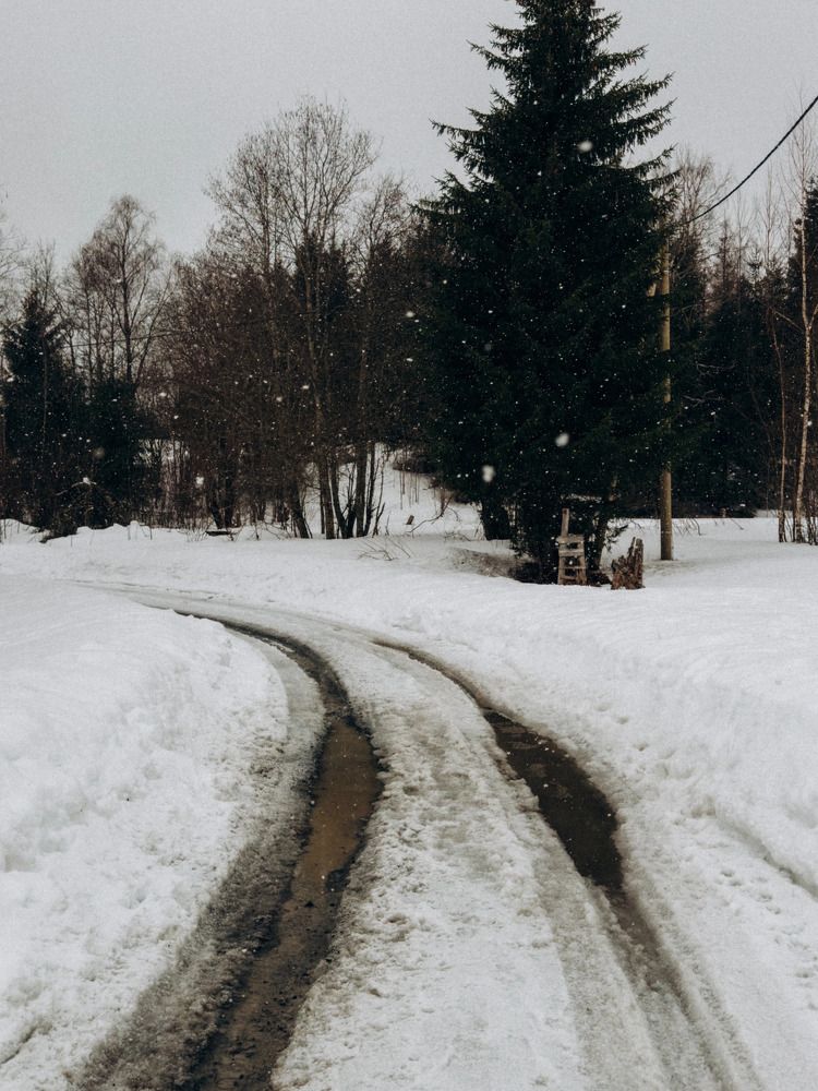 Photograph by Алиса Нежинская