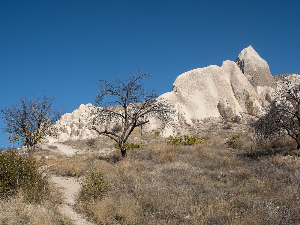 Photograph by Матвей Матвеев