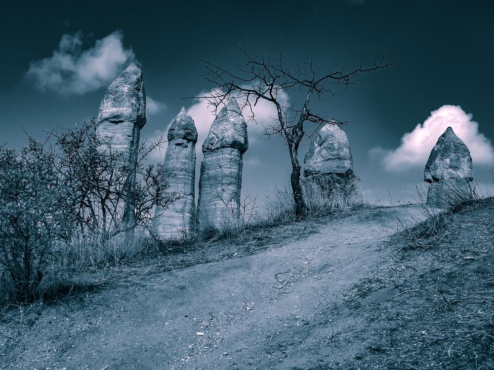 Photograph by Матвей Матвеев