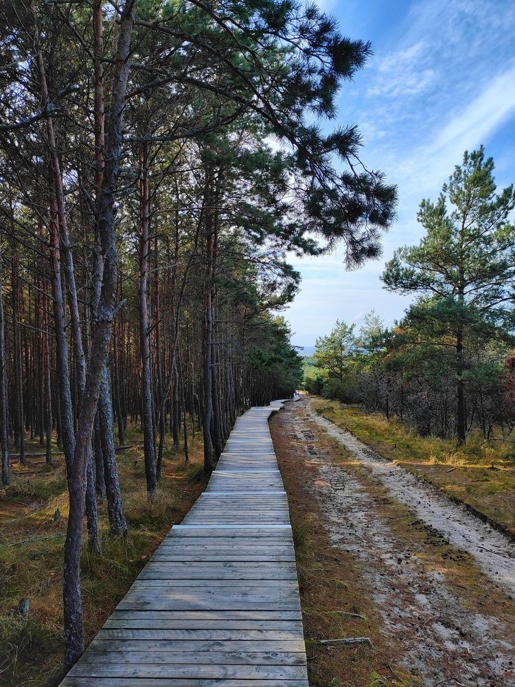 Фотография автора Илья