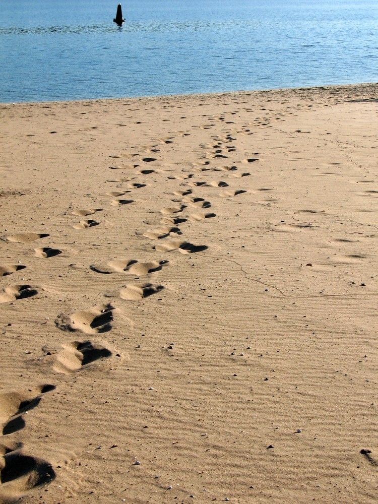 Фотография автора Евгений