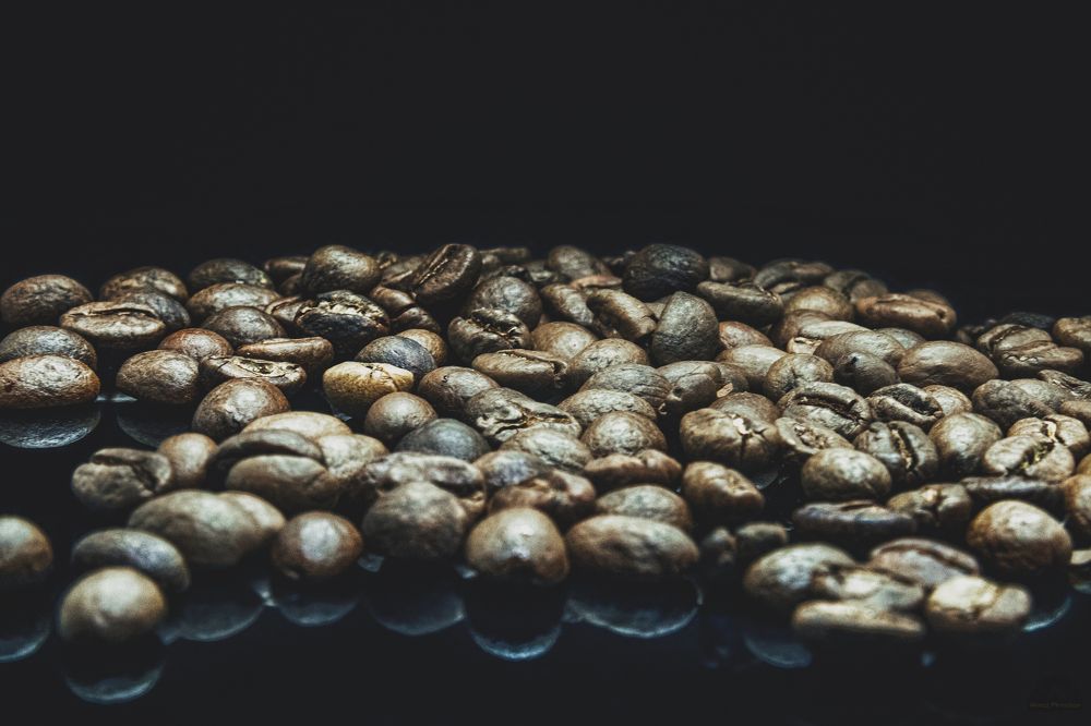 Photograph by Алмаз Пирматов